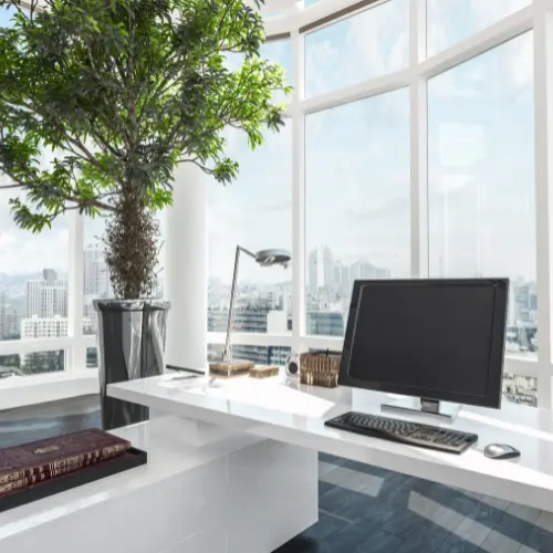 Modern office interior with city view, computer desk and green plant – Alp Medical Travel contact office in Antalya, Turkey for medical tourism, health travel and treatment